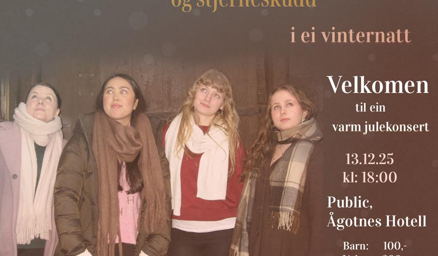 Stjernesludd og stjerneskudd i ei vinternatt