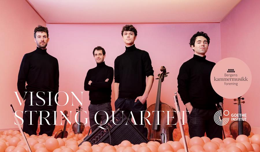 Vision String Quartet