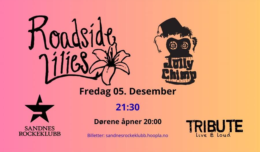 Annonse for konserten med bandnavn på rosa-gul bakgrunn