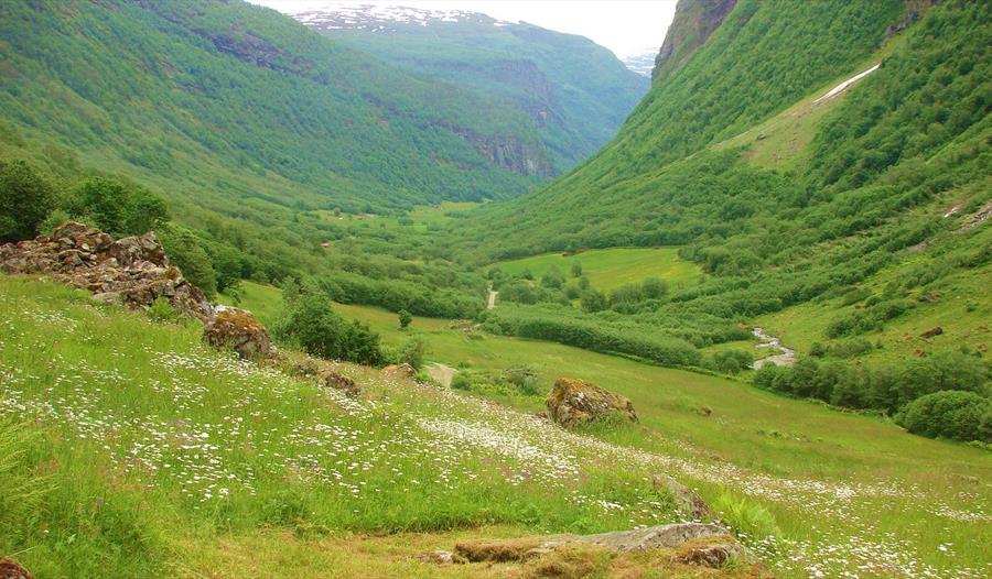 Dalsdalen - Vigdalstøl hiking