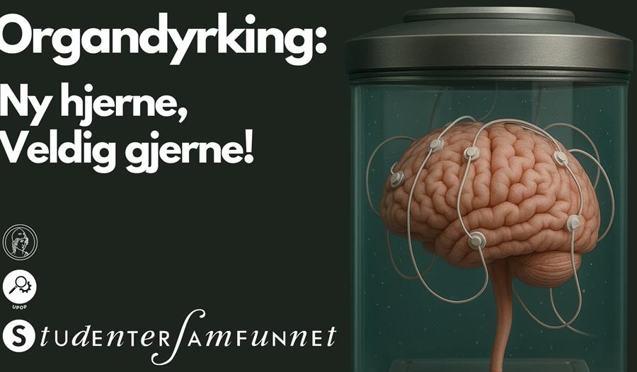 Organdyrking