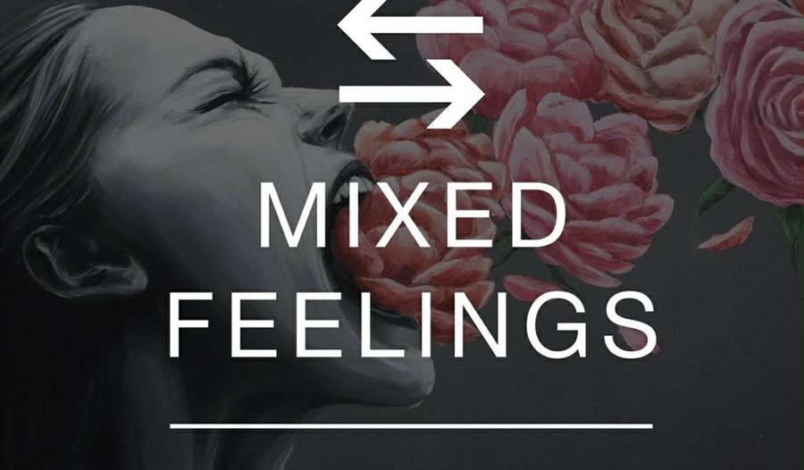 Mixed Feelings