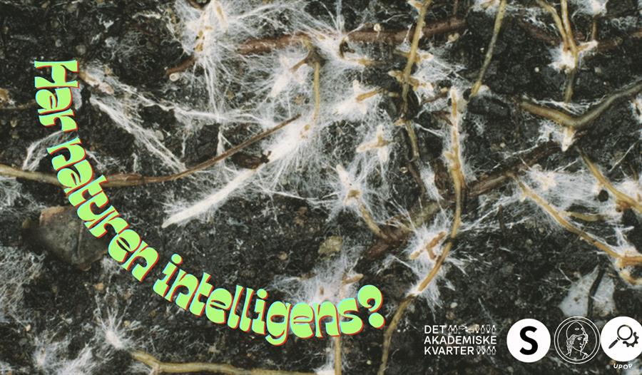 Har naturen intelligens?