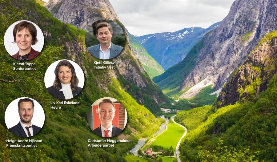 Hvem vil redde Vestlandet fra veikrisen?