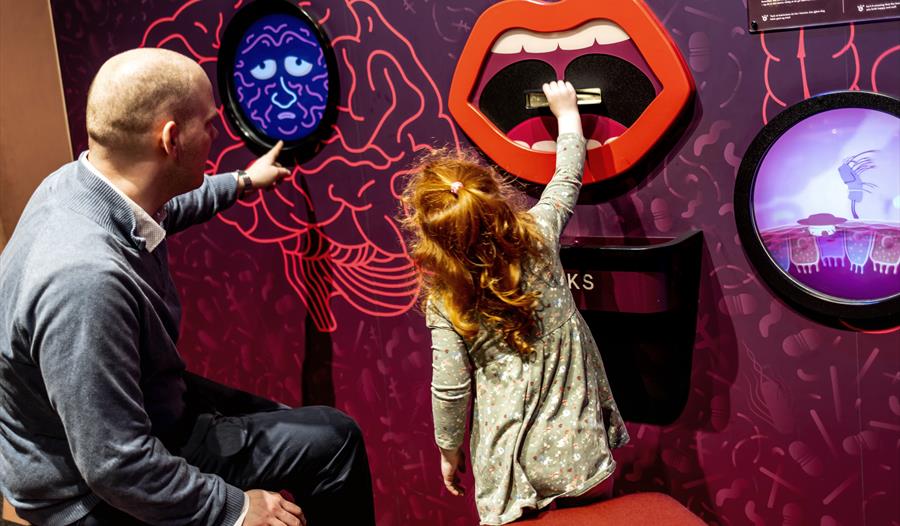 Utforsk kroppen på VilVite denne våren