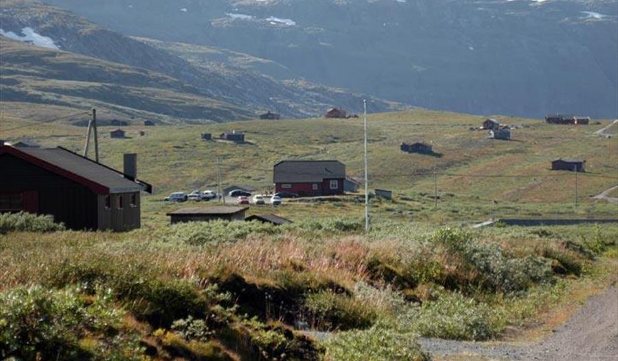 Damvoktaren, Jotunheimen