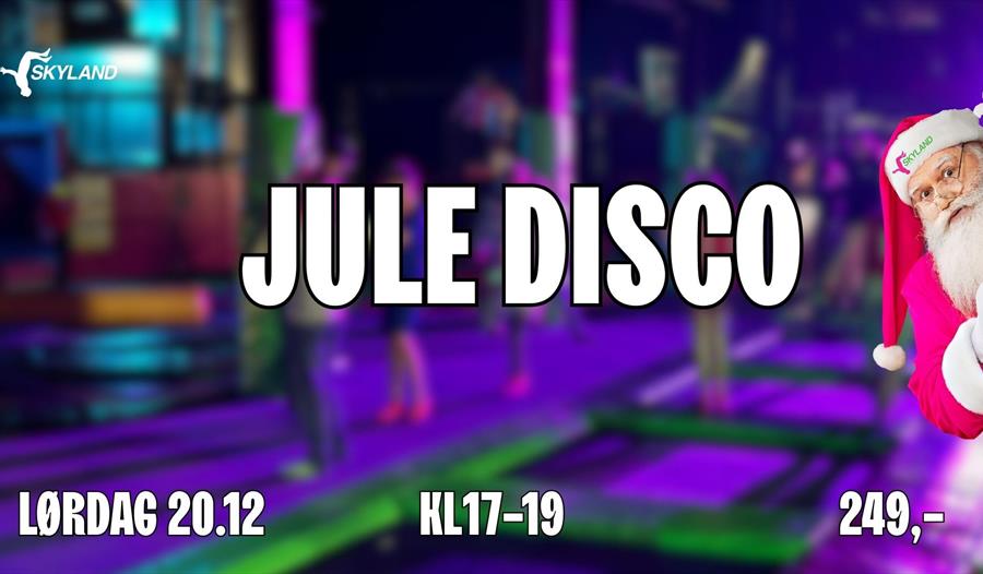 Jule Disco