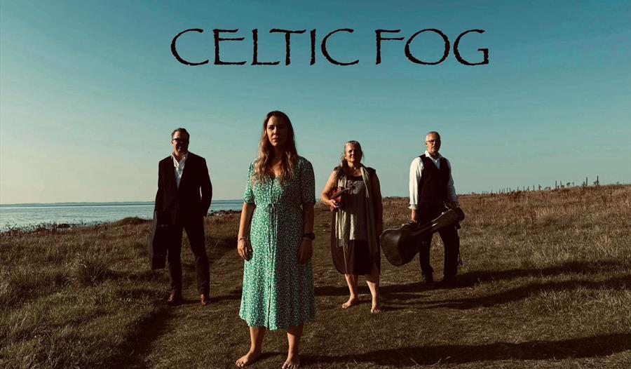 Et omslag som viser bandet Celtic Frog på en gressflekk foran havet