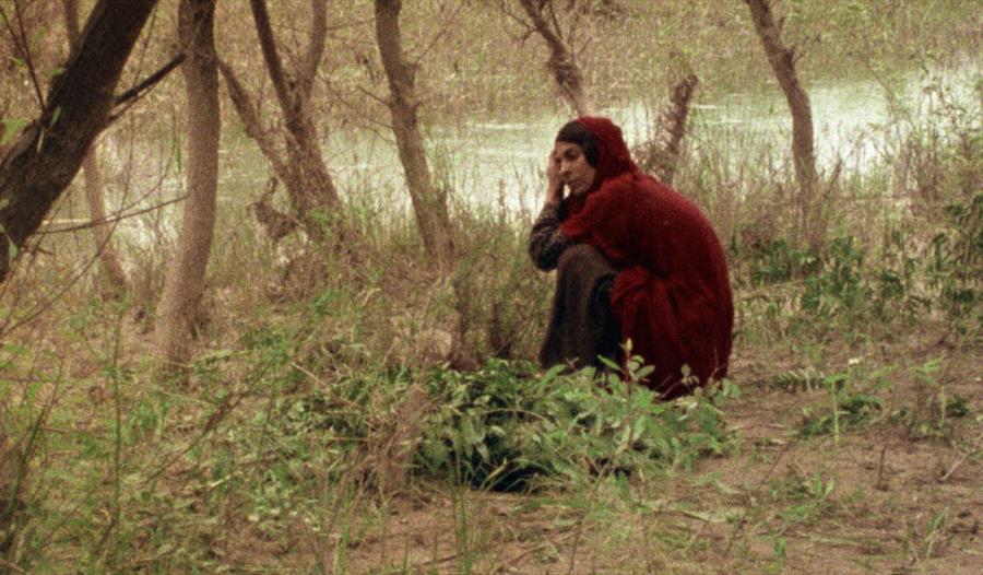 The Sealed Soil (1977)