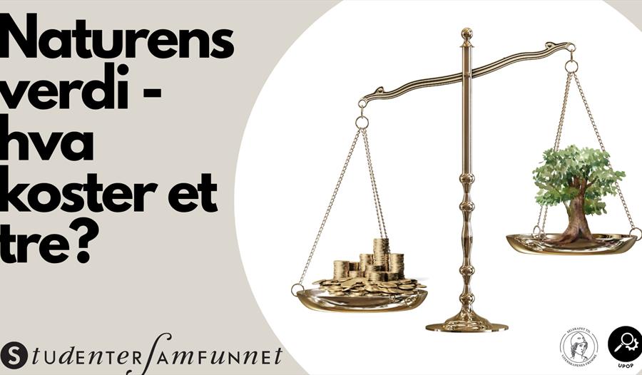 Naturens verdi - hva koster et tre?