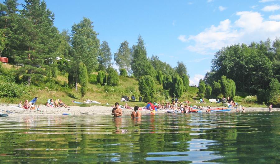 Norevikane i Høyanger