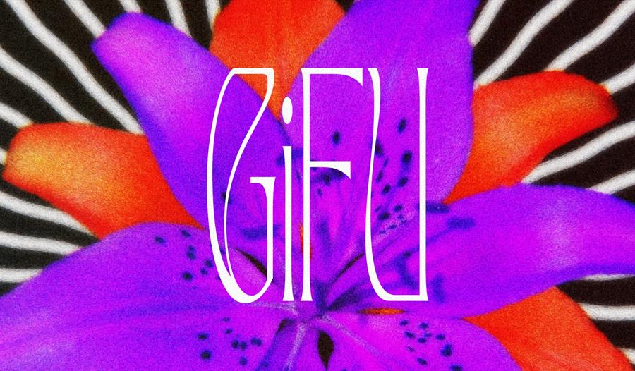 GiFU + support: Date Of Birth