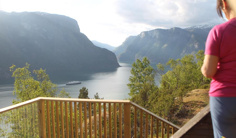 Dagsturhytta i Aurland