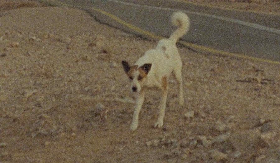 Film
