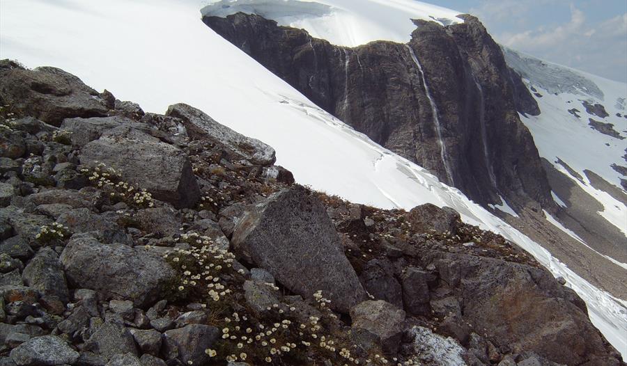 Fresvikbreen Glacier