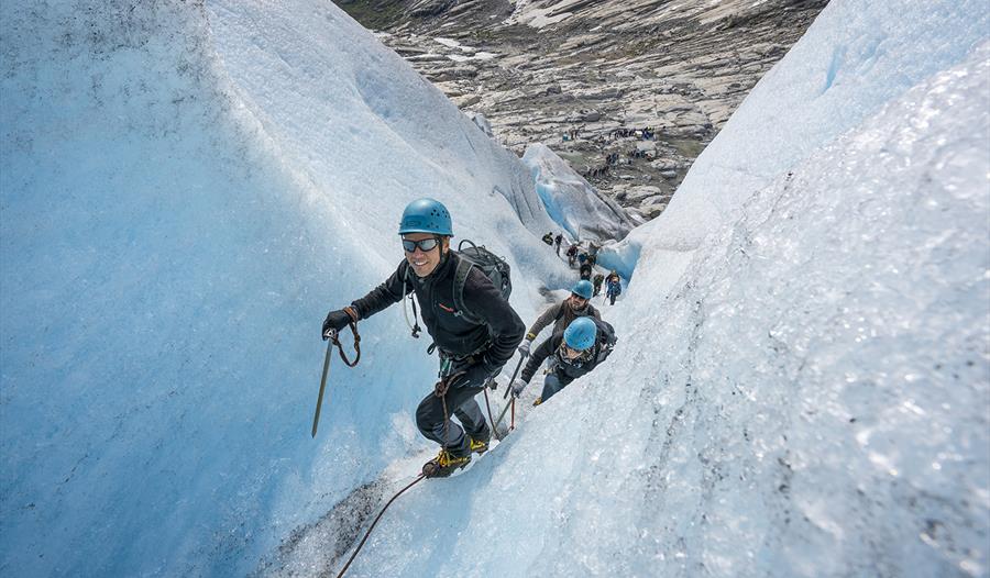 Nigardsbreen