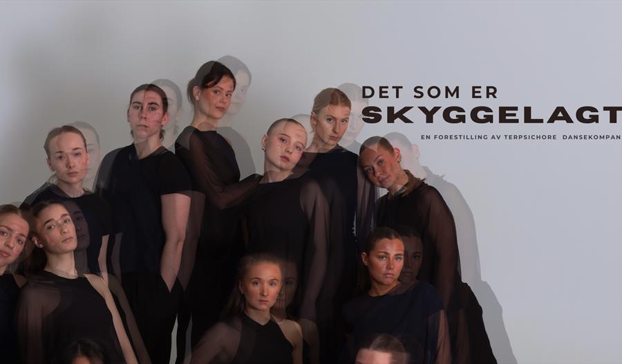 Det som er skyggelagt