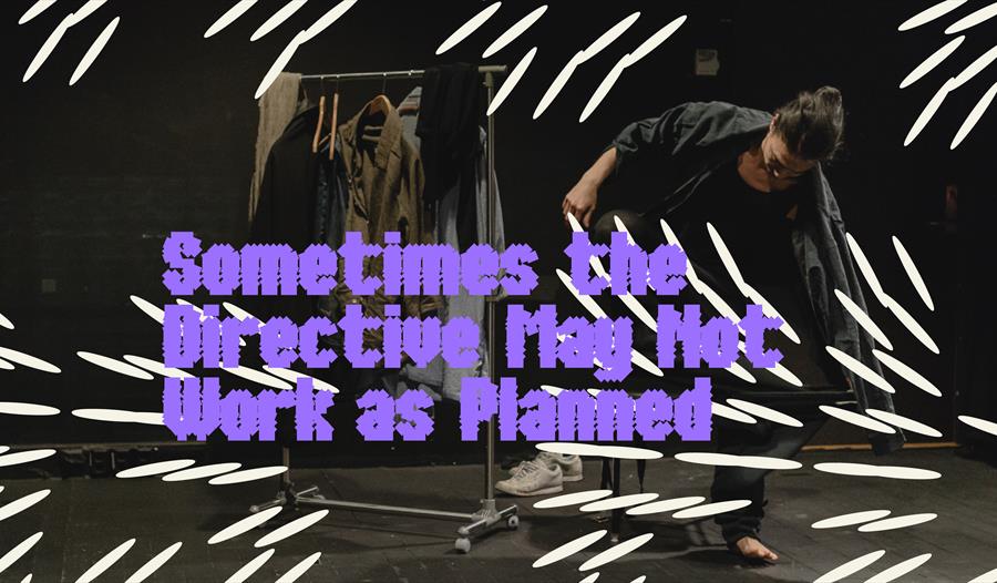 Sometimes the Directive May Not Work as Planned