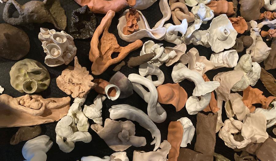 Bilder fra utstillingen