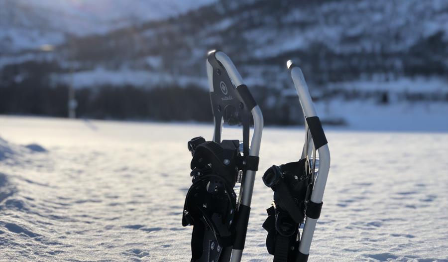 Trugetur I Sogndalsdalen