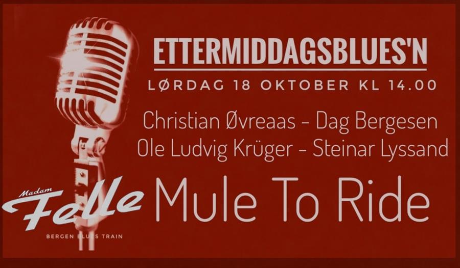 MULE TO RIDE