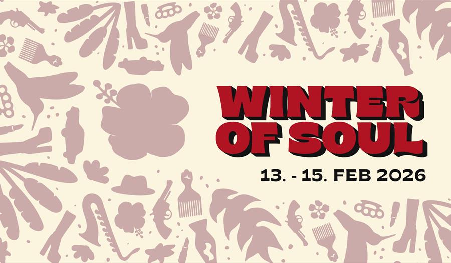 Winter of Soul Festival 2026