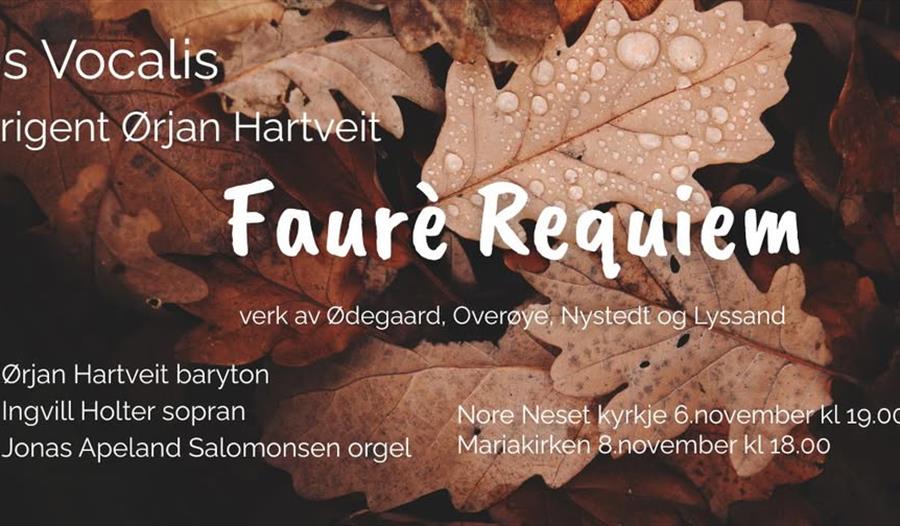 Fauré Requiem 8. november