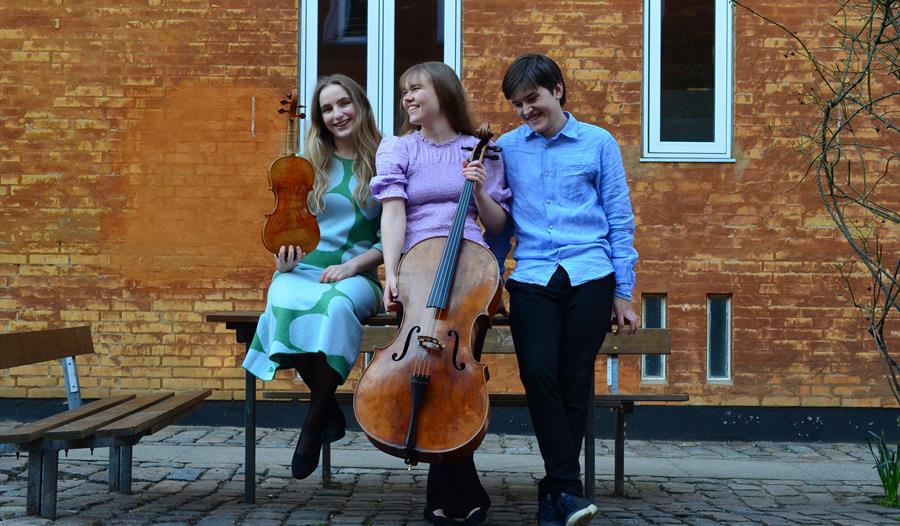 Toner i bevegelse – Trio Leikkín