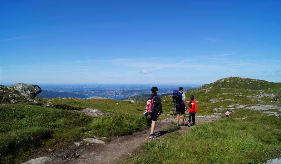 Vidden er en fin tur for hele familien