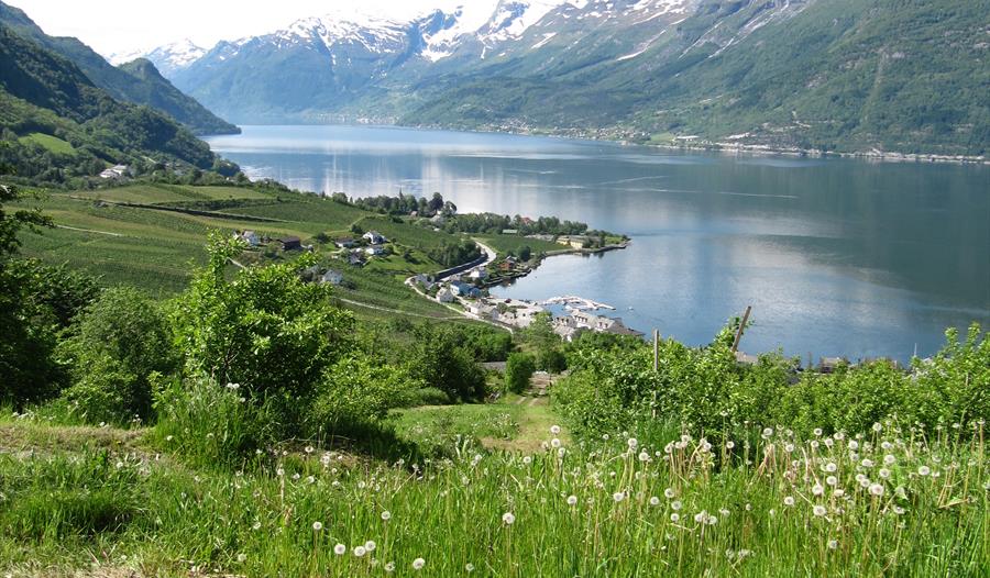 Hovden rundt