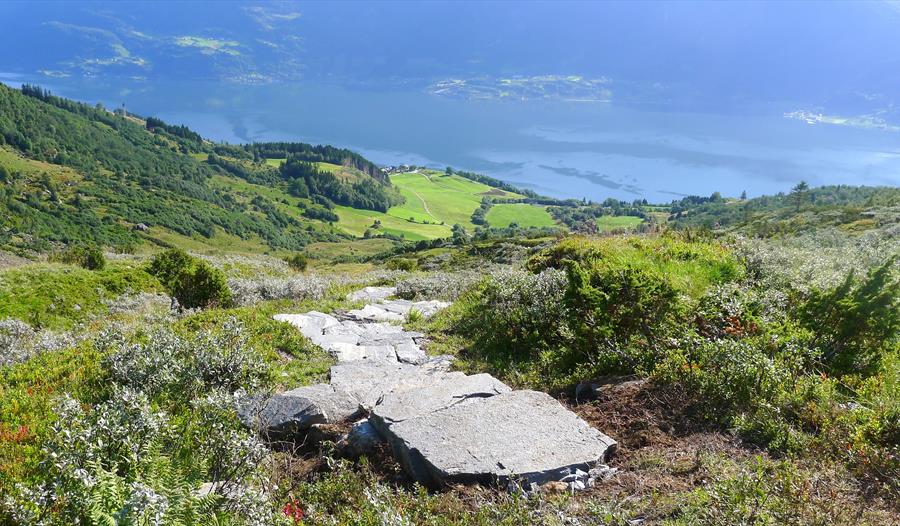 Reiseterlia