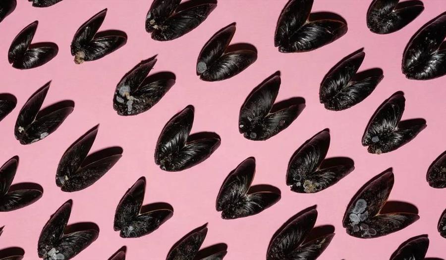 OCEAN FULL MOON / Bio Talk