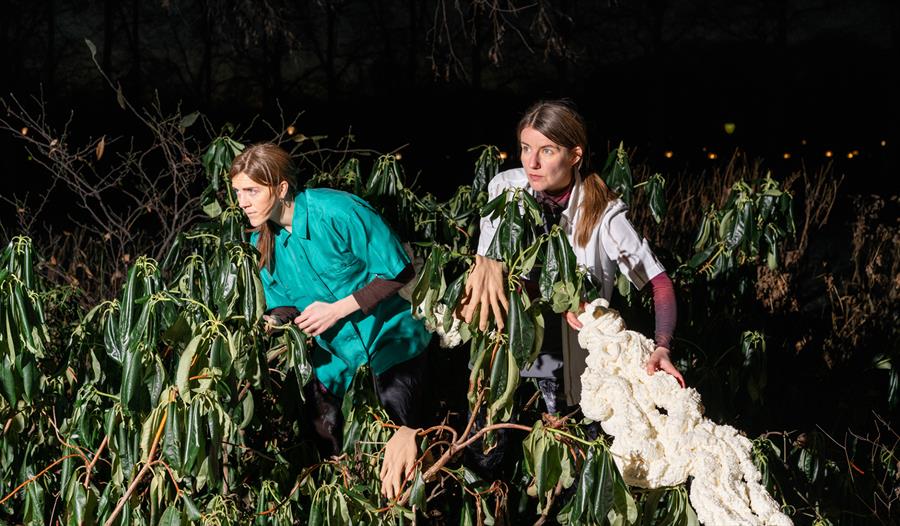 To jenter leder hverandre inn i dunkle terreng