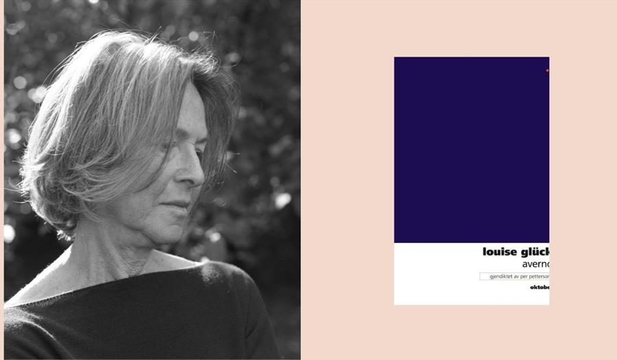 Feministisk lesesirkel