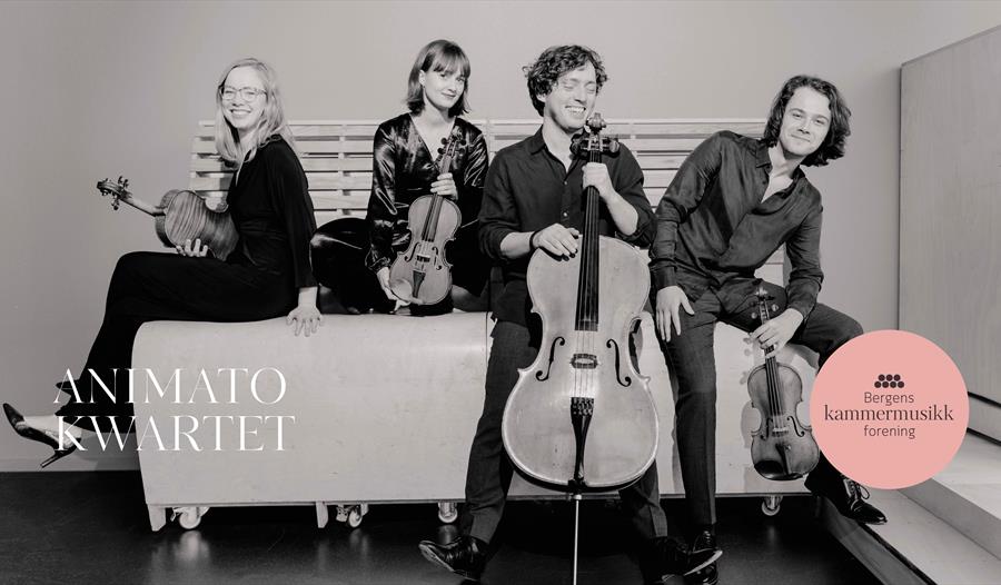 ANIMATO KWARTETT