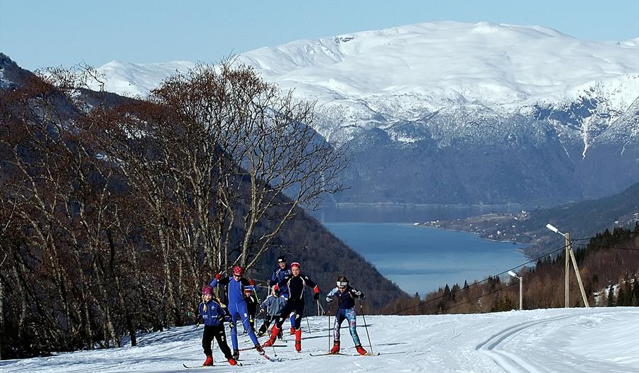 Vik Skisenter