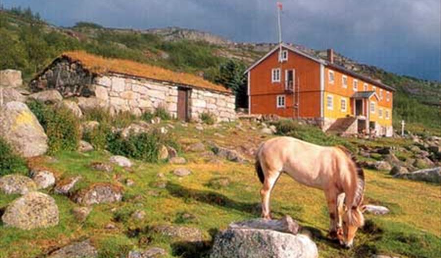 Hardangervidda: tre-dagars tur
