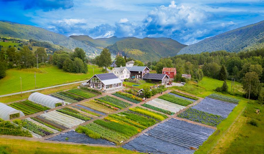 Bøtun Gard