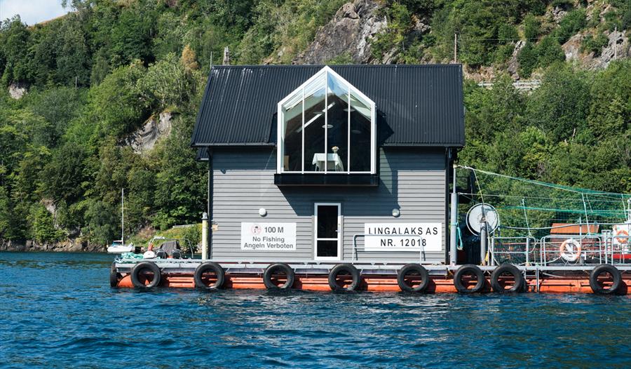 Besøk på oppdrettsanlegg med RIB båt – Hardanger Akvasenter