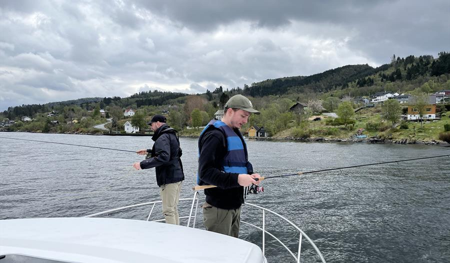 Fiske fra båten