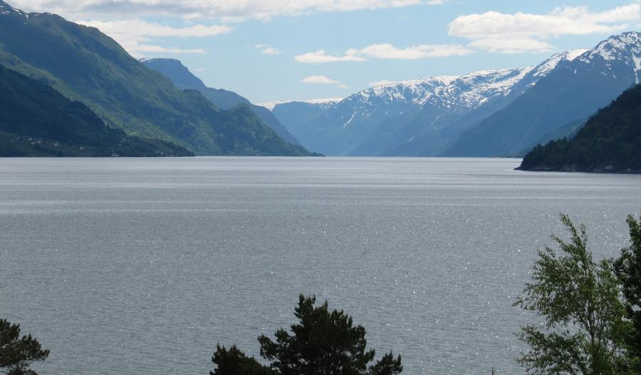 Oksenhalvøya
