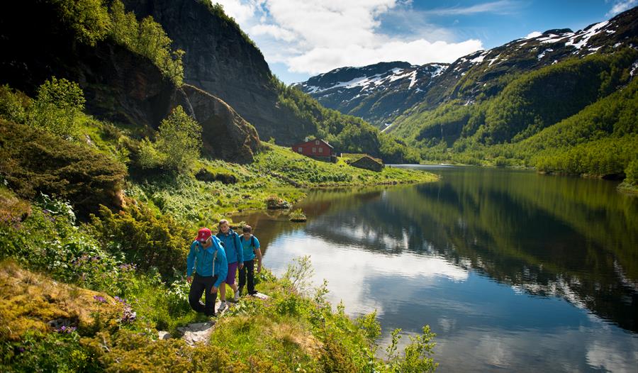 Aurlandsdalen