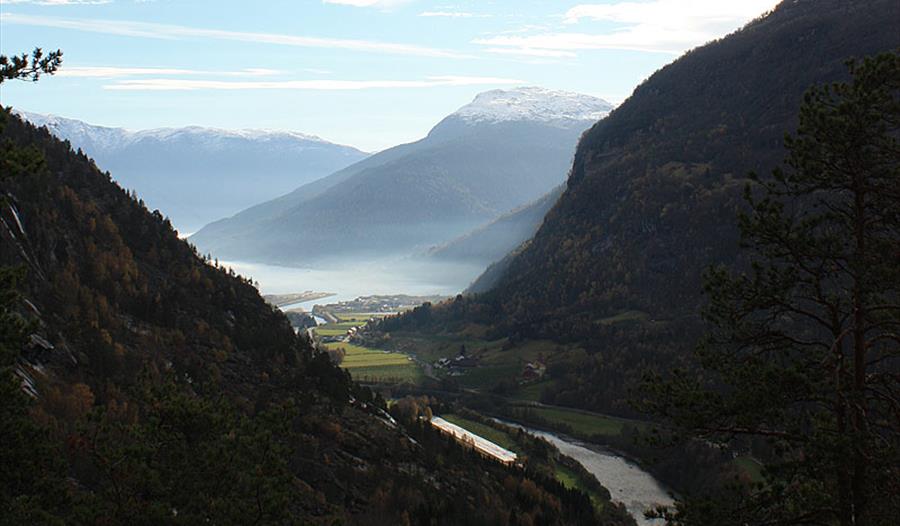 Venåsen