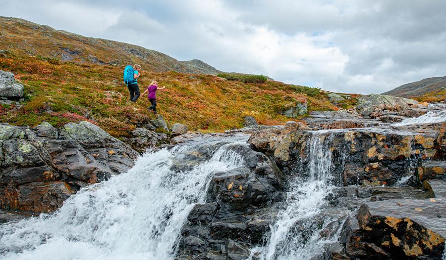Bakkanosi UNESCO Nærøyfjord