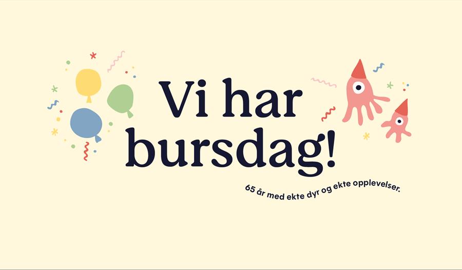 Bursdag på Akvariet