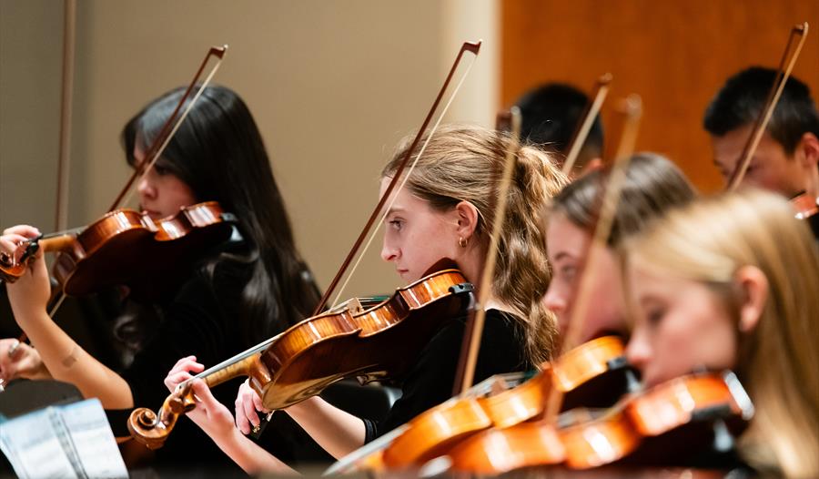 Waterford School Chamber Orchestra