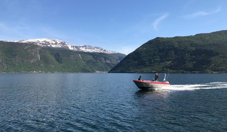 Gamle Trevaren båt utleige Vik