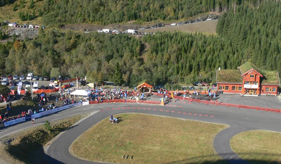 Skistova Vik