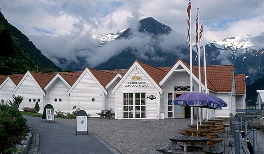 Cafe Fløyfisken