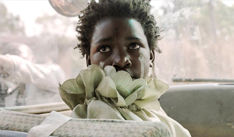 Women Calling the Shots